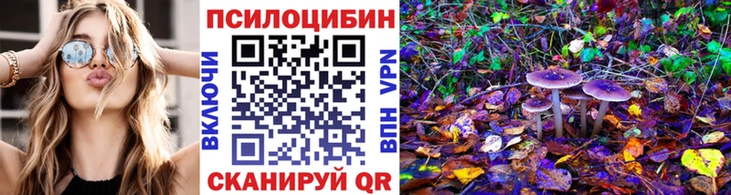 Купить где  Верещагино  Псилоцибиновые грибы Magic Shrooms 
